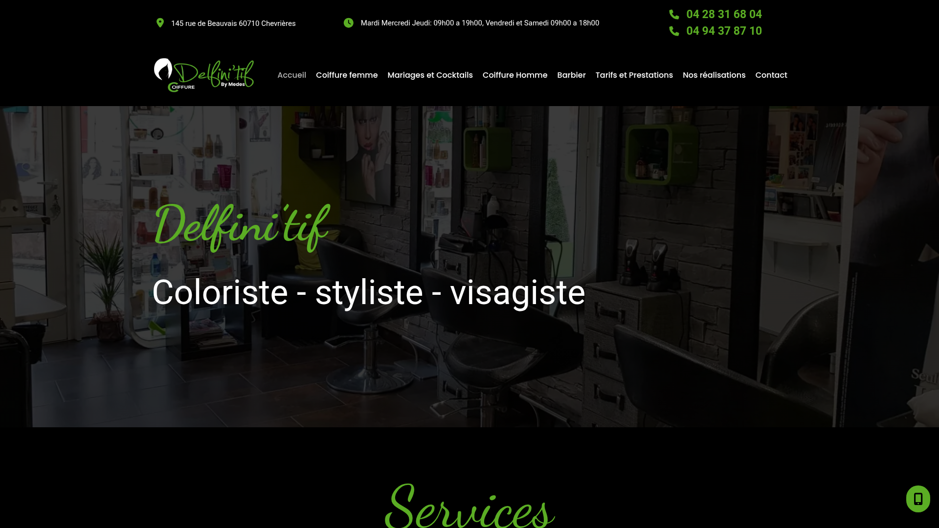 Aperçu du site Delfini'tif